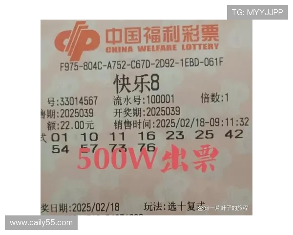 彩票D开奖结果揭晓，幸运号码震撼公布